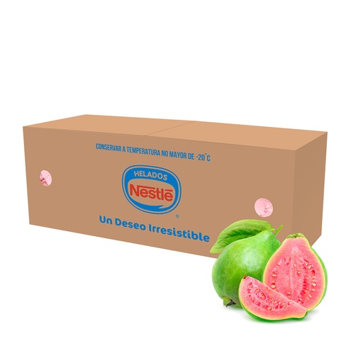 [08469] Guava flavor ice cream, 4,5 liter tub